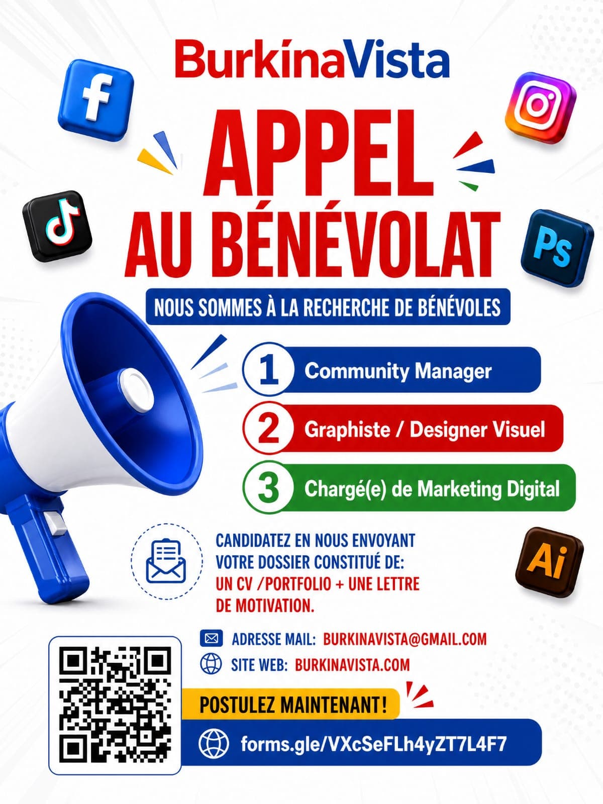 BurkinaVista — Design